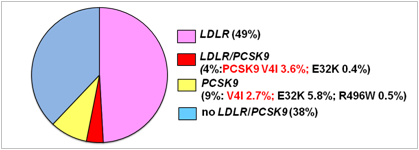家族性高コレステロール血症に関する臨床研究 病態代謝部 各部のご紹介 国立循環器病研究センター 研究所