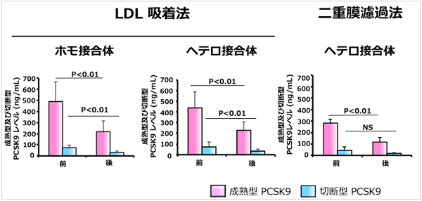 Ldlコレステロールの数値が高い方は家族性高コレステロール血症 Fh かもしれません 宇都宮市のトマト内科 糖尿病 高血圧 甲状腺クリニック