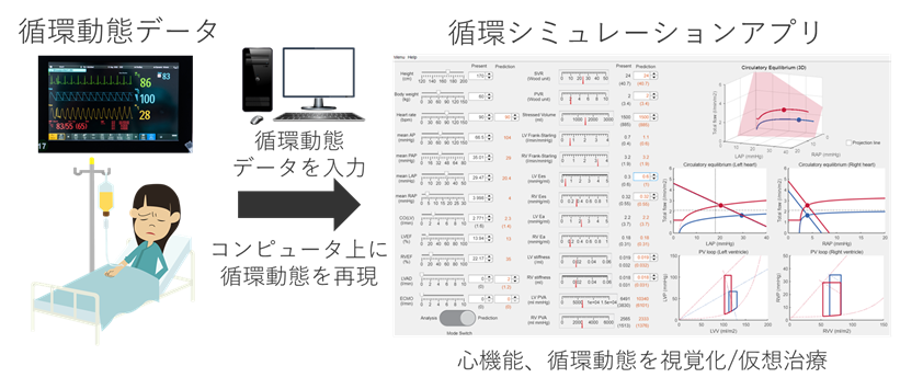 シミュレーションで医療のミライを拓く