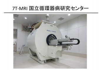 図１ 7T-MRI