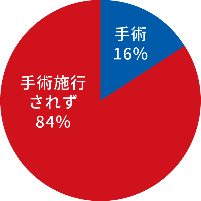 器質性（一次性）MR 図