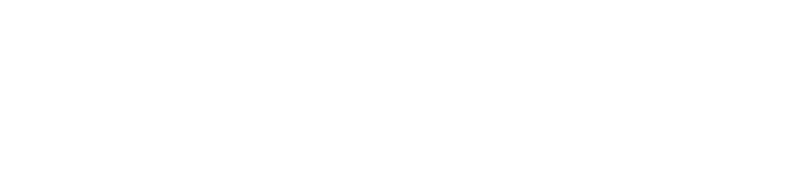 MitraClip（マイトラクリップ）