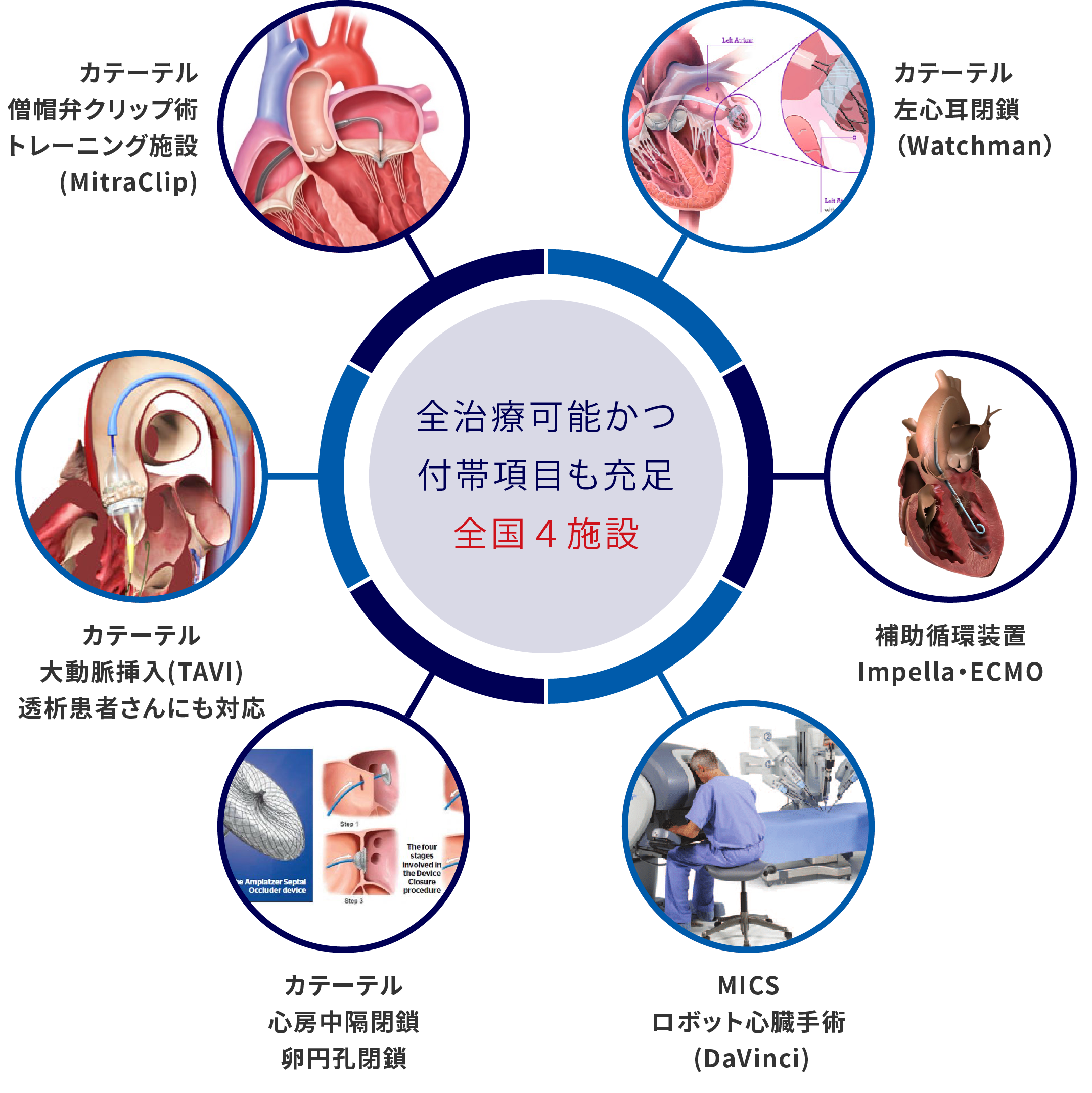 全治療可能かつ付帯項目も充足全国４施設 図