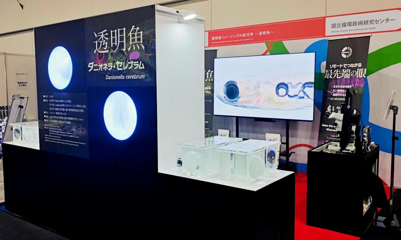 展示ブース