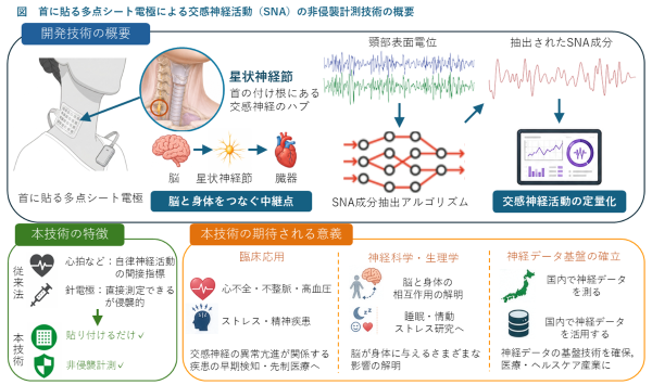 首に貼る多点シート電極による交感神経活動（SNA）の非侵襲的計測技術の概要